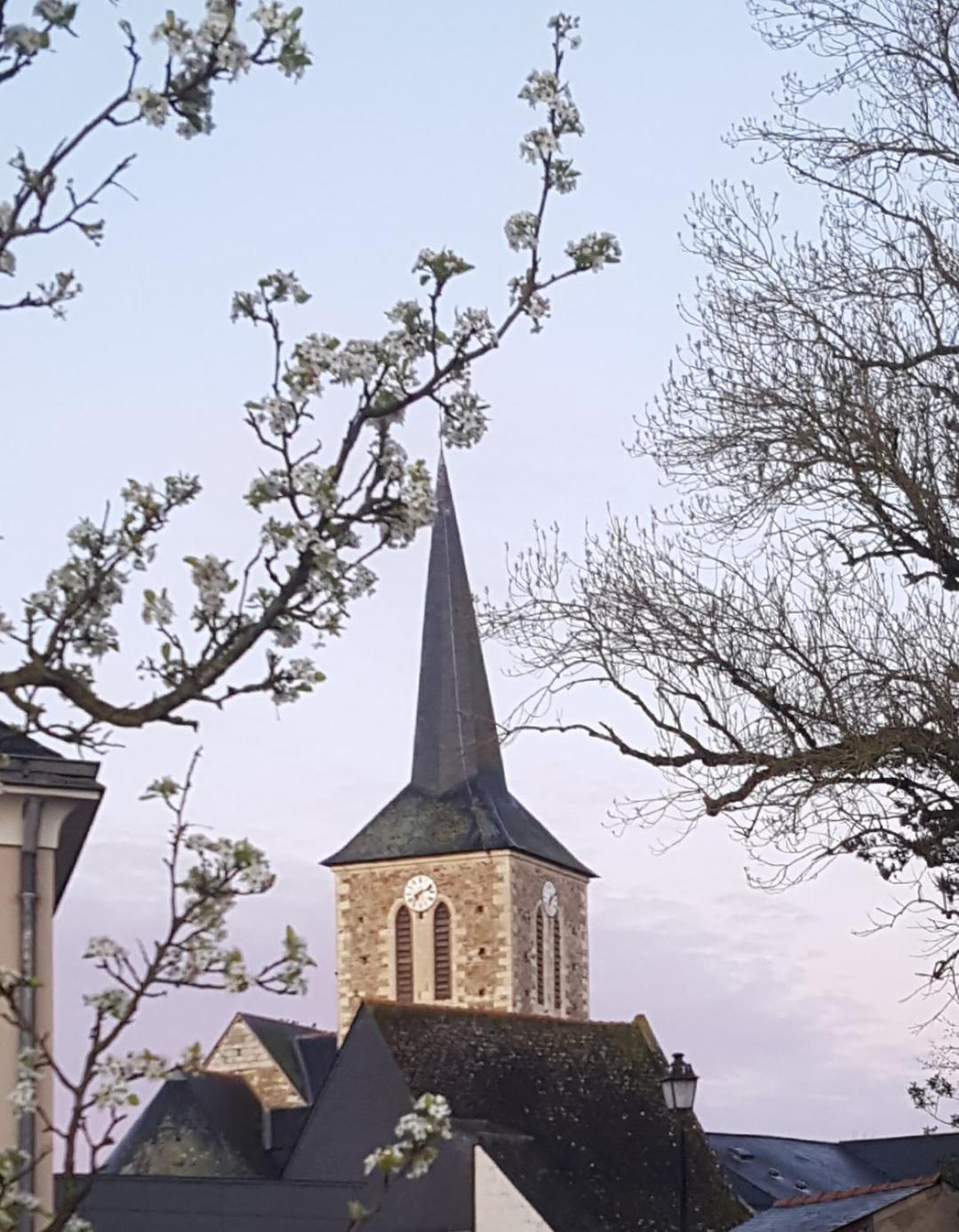 Gite Angers Proche Briollay Exteriör bild